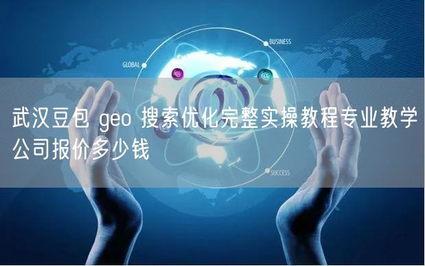 武汉豆包 geo 搜索优化完整实操教程专业教学公司报价多少钱