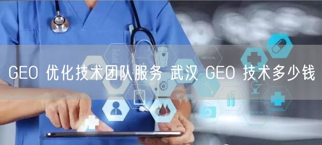 GEO 优化技术团队服务 武汉 GEO 技术多少钱
