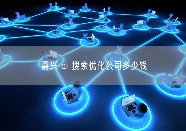 嘉兴 ai 搜索优化公司多少钱