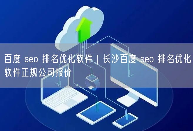 百度 seo 排名优化软件｜长沙百度 seo 排名优化软件正规公司报价