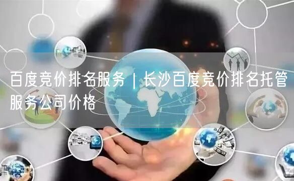 百度竞价排名服务｜长沙百度竞价排名托管服务公司价格