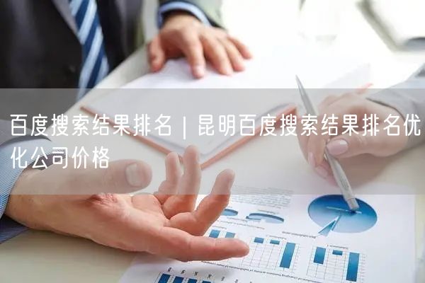 百度搜索结果排名｜昆明百度搜索结果排名优化公司价格