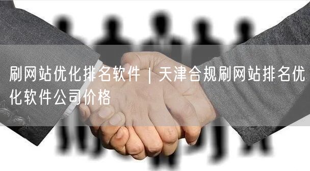 刷网站优化排名软件｜天津合规刷网站排名优化软件公司价格