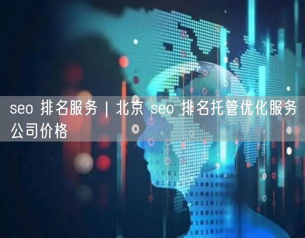 seo 排名服务｜北京 seo 排名托管优化服务公司价格