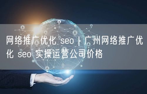 网络推广优化 seo｜广州网络推广优化 seo 实操运营公司价格