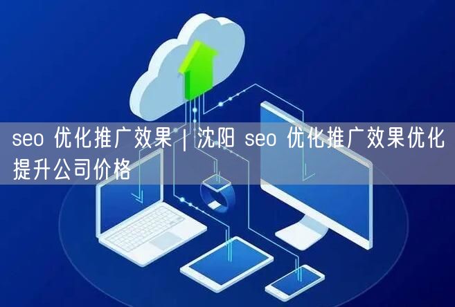 seo 优化推广效果｜沈阳 seo 优化推广效果优化提升公司价格