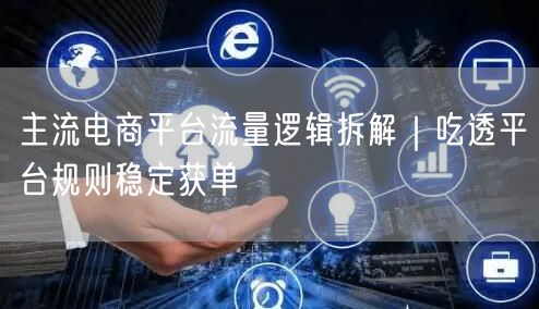 主流电商平台流量逻辑拆解｜吃透平台规则稳定获单