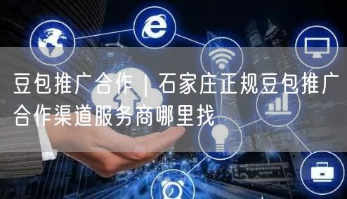豆包推广合作｜石家庄正规豆包推广合作渠道服务商哪里找