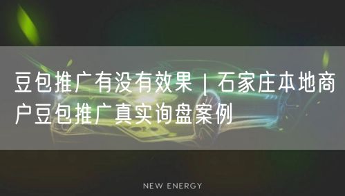 豆包推广有没有效果｜石家庄本地商户豆包推广真实询盘案例