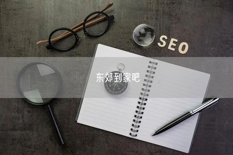 东郊到家吧：上门服务体验佳，揭秘特色项目与用户反馈